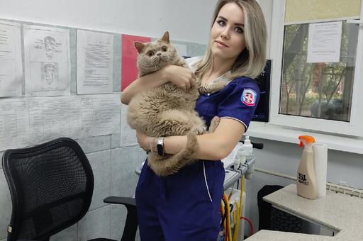 Яна Лебедева, ветеринарная клиника «Алисавет»