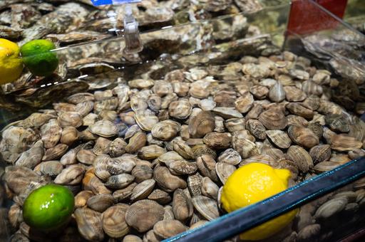 Исследование: загрязнение сточных вод делает моллюски небезопасными к употреблению