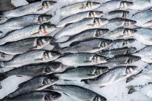 Эксперты: число случаев поставок небезопасной рыбы снижается