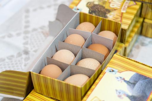 Россельхознадзор не фиксирует перебоев с поставками инкубационных яиц в РФ