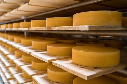 Russia cheese exports saw an increase of 20%