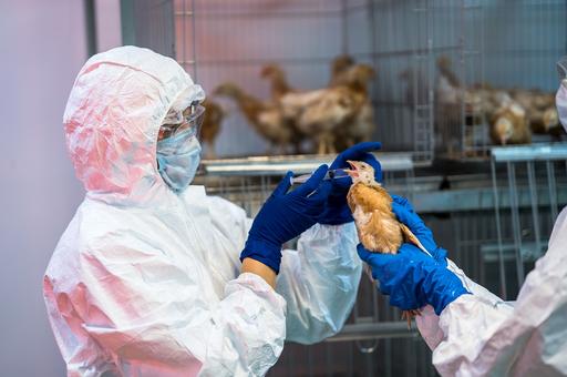 В ФГБУ «ВНИИЗЖ» произвели 20,7 млрд доз вакцин для животных