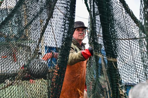 Российские рыбаки выловили более 5 млн тонн рыбы за 2021 год