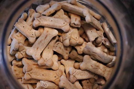 В США зарегистрировали случаи заражения сальмонеллёзом через собачьи лакомства