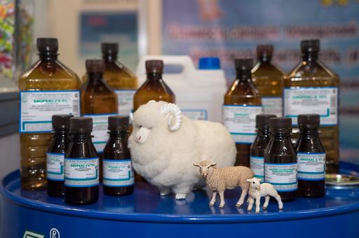 Rosselkhoznadzor considers buying veterinary medicines from India and China