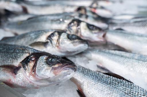 Экспорт российской рыбы вырос на 7%