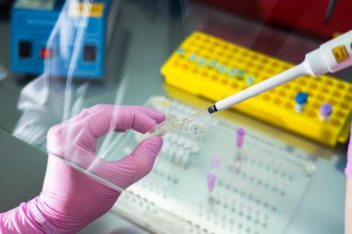 Минобороны: США проводили в биолабораториях на Украине опыты с опасным для людей гриппом птиц H5N1