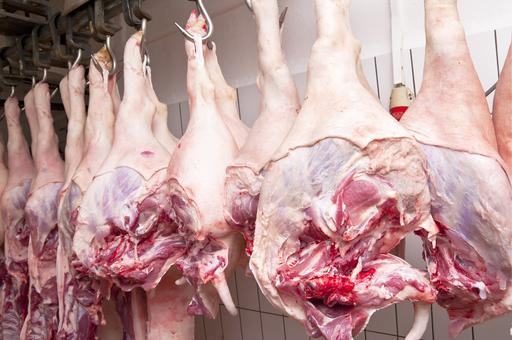 Производство мяса в России выросло на 8,9%
