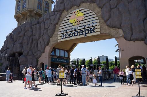 Московский зоопарк закрылся из-за непогоды