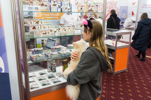 Ветеринары предложили ввести принудительное лицензирование аналогов «Бравекто»