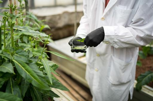 Россельхознадзор предлагает изменить законодательство в отношении пестицидов