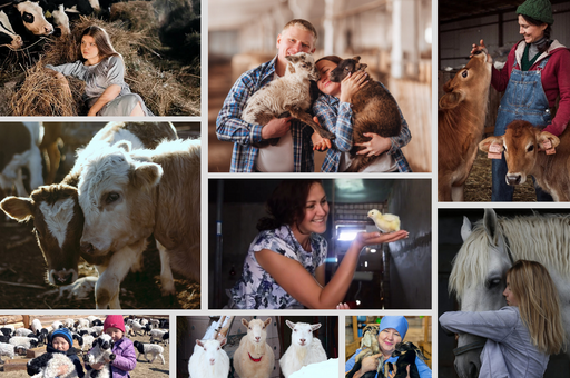 Стали известны победители фотоконкурса «Современное животноводство и ветеринария»