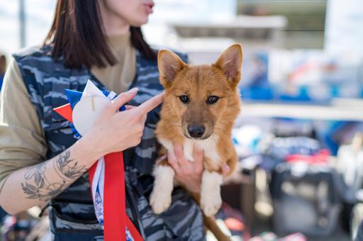 «Аэрофлот» представил новую породу собак на выставке «Евразия 2022»