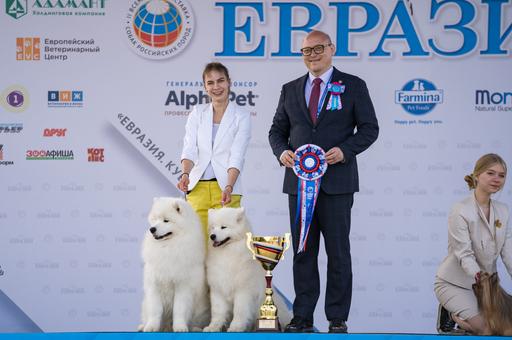 Выставка «Евразия 2022» собрала свыше 6,5 тыс. породистых собак – фоторепортаж