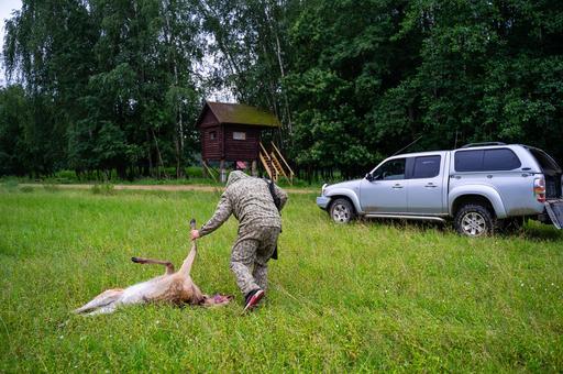 Охотнадзор получит право рассматривать дела о незаконной охоте