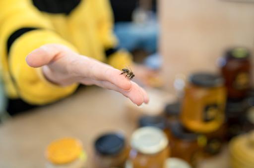 Правительство США одобрило первую в мире вакцину для медоносных пчел