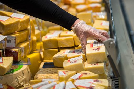 Роскачество: доля фальсификата среди дешевых сыров «Гауда» и «Эдам» достигает 28%