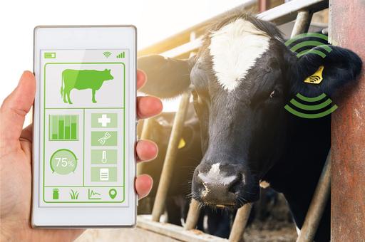 Минсельхоз США предлагает сделать обязательным электронное маркирование скота