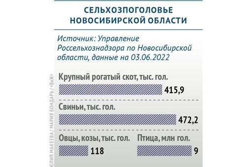Сколько сельхозживотных содержится в Новосибирской области