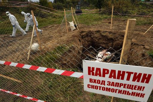 Правительство запретит строить новые скотомогильники в РФ