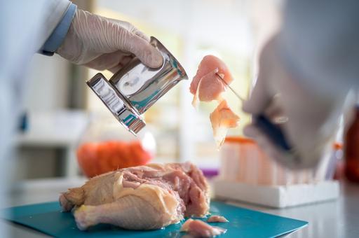 Ученые ВГНКИ разработают методику для выявления опасных стимуляторов в мясе