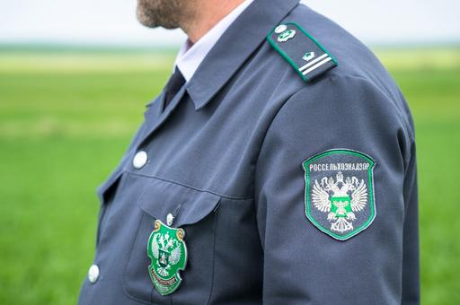 Россельхознадзор оштрафовал жителей Якутии за нарушение ветправил борьбы с бруцеллезом