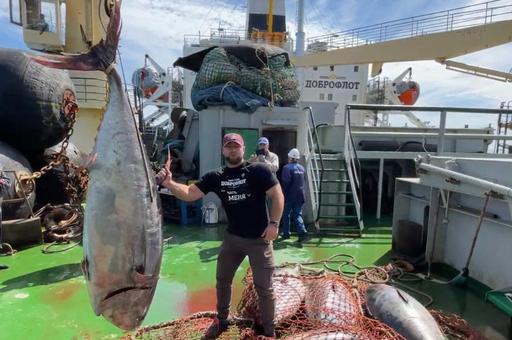 Тунцов-гигантов поймали рыбаки из России у берегов Курил