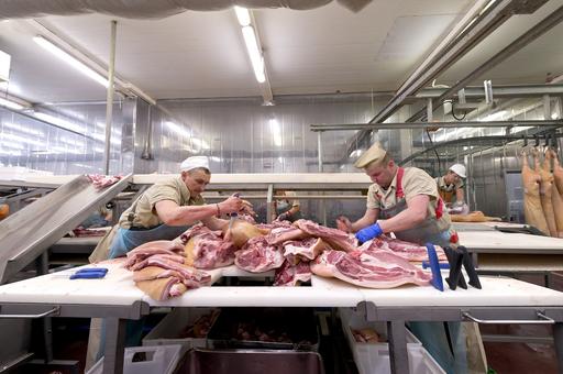Предприятия АПК новых регионов наращивают выпуск мясной и молочной продукции