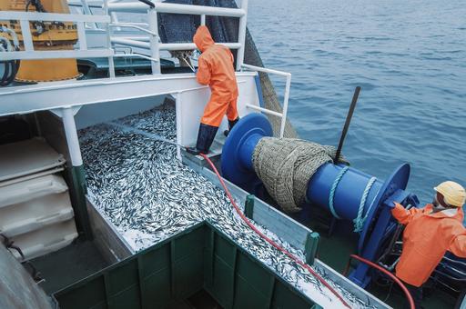 Россия запретит британским судам рыбачить у Кольского полуострова