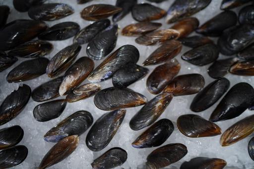 В США ограничили импорт морепродуктов с нитрофуранами