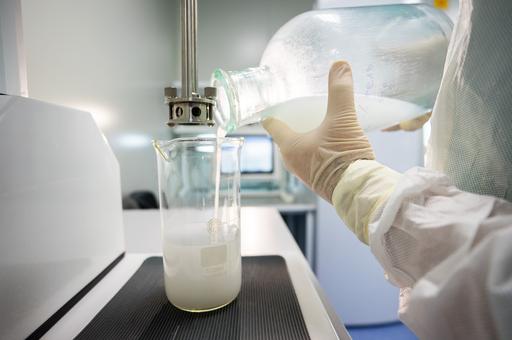 В Узбекистане запустили производство молока с антителами против коронавируса