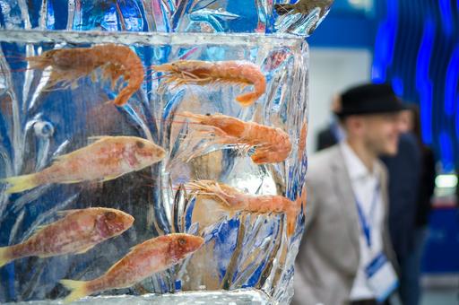 Законопроект о непрерывной холодильной цепи представят на Международном рыбопромышленном форуме