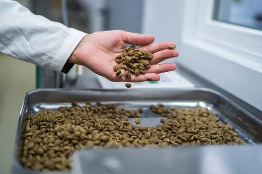 Таможня не пустила в Россию запрещенный корм с ГМО для собак и кошек