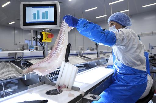 Российских экспортеров предупредили о риске потерять право поставки рыбы в Китай