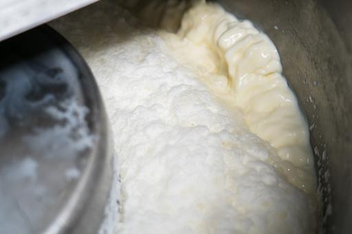 Россельхознадзор открыл рынок Гонконга для молока из России