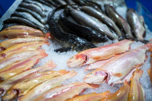 Иран планирует трехкратно увеличить экспорт рыбной продукции