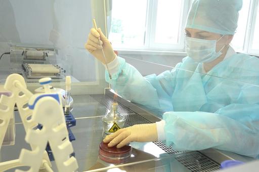 Российские ученые разработали добавки для повышения иммунитета скота