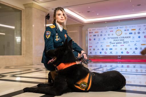 В международный день собак кинологи рассказали о четвероногих спасателях, полицейских, актерах и терапевтах