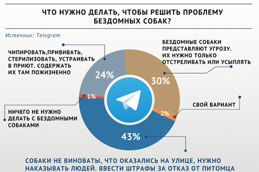Опрос «ВиЖ»: как решить проблему бездомных собак?