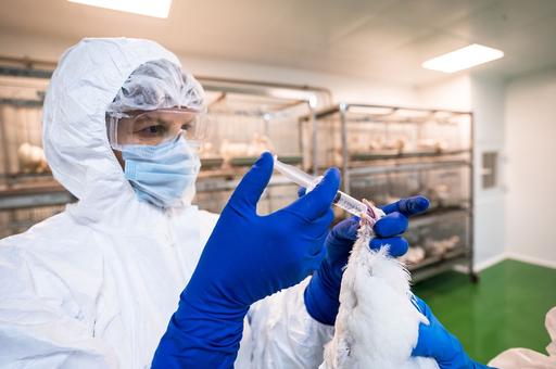 ВГНКИ может стать референтной лабораторией ФАО по контролю качества вакцин