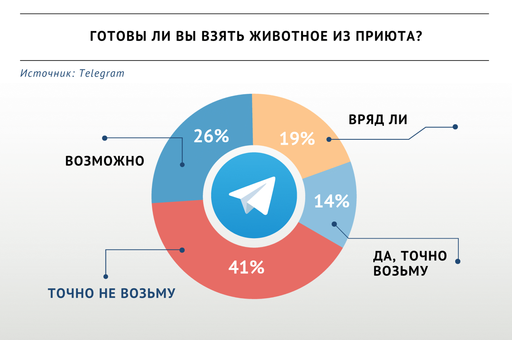 Опрос «ВиЖ»: готовы ли вы взять животное из приюта