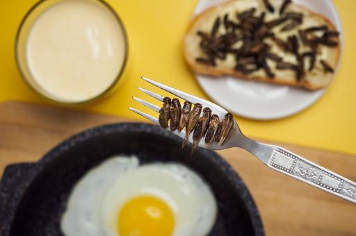 Завтрак со сверчком: какие продукты питания из насекомых могут появиться на российских прилавках