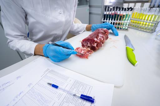 Russian company to launch cell-based meat in 2025