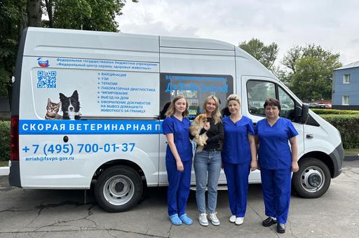 Еще в одном городе России заработала скорая помощь для собак и кошек
