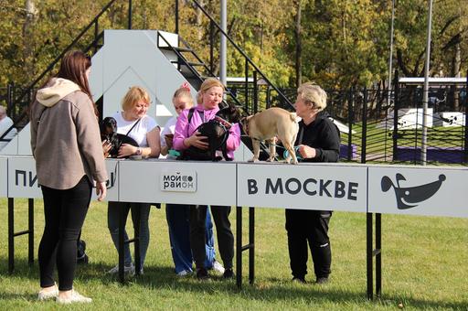 Сергей Собянин открыл в Москве парк для домашних животных