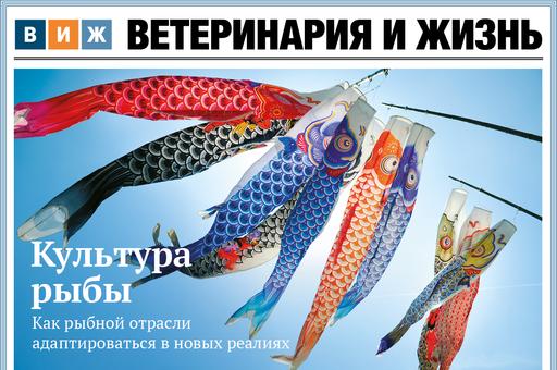 Новый выпуск «ВиЖ»: культура рыбы, «бешеная» стратегия и лекарство против иммунитета