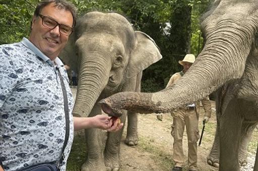 Чайное предприятие в Сочи приютило индийских слонов