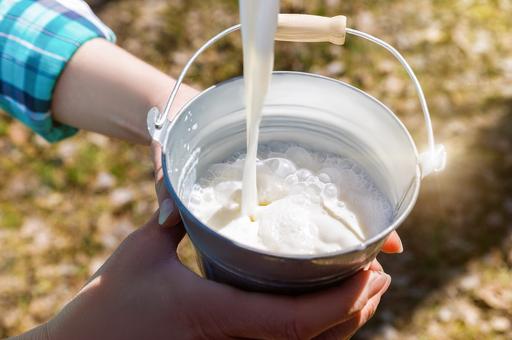 Россия почти на треть увеличила экспорт молочной продукции