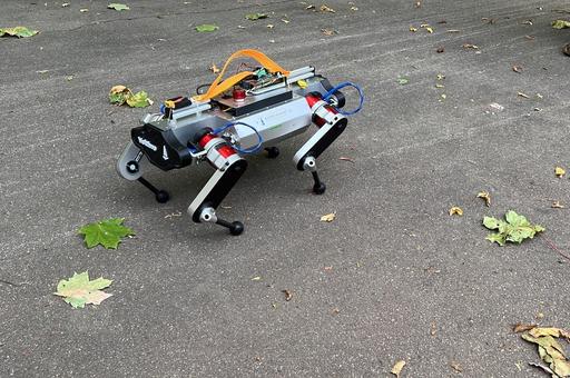 В МГУ разработали новую версию собаки-робота