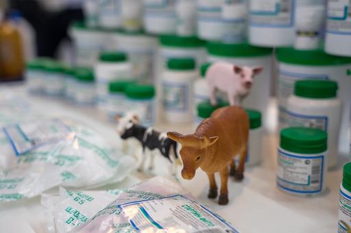 Russia to authorize 94 new veterinary drugs by the end of the year